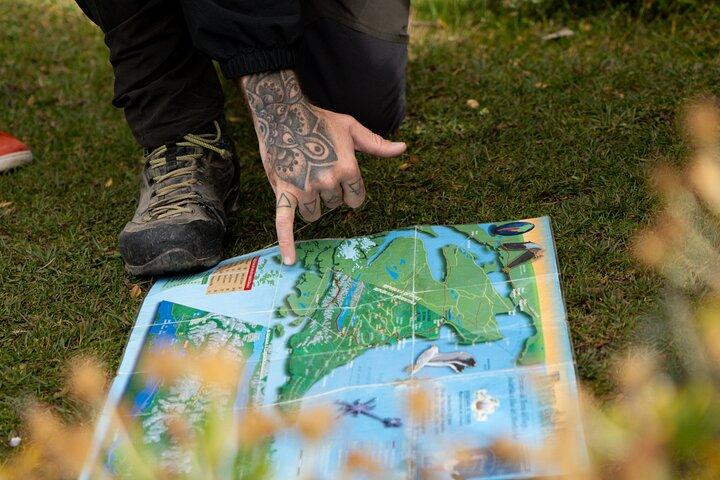 Explore Tierra del Fuego National Park (Shore Tour)