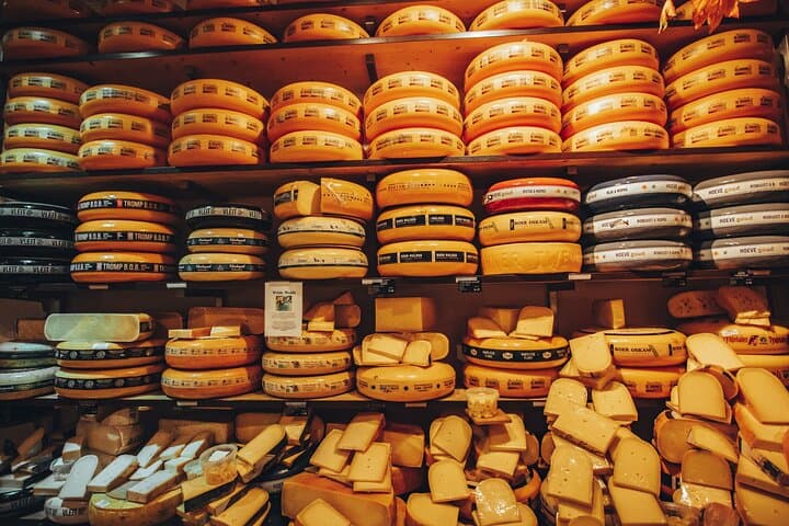 Amsterdam Layover Tour in the City Highlights and Hidden Gems