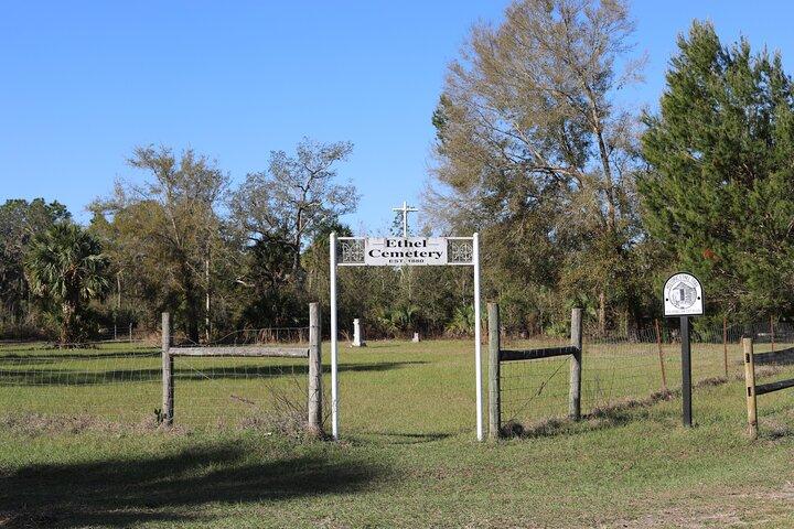 1 Hour Guided Horseback Trail Ride Rock Springs Run State Reserve