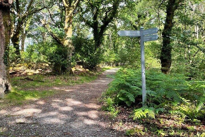 Killarney National Park Self Guided Audio Walking Tour