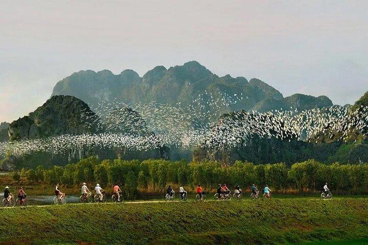 Ninh Binh Private Tour: Tam Coc, Bich Dong, Thung Nham Bird Park