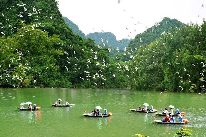 Ninh Binh Private Tour: Tam Coc, Bich Dong, Thung Nham Bird Park