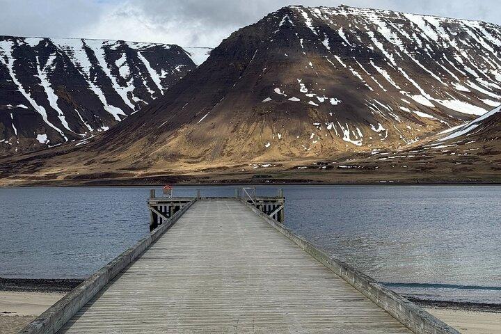 4 Hour Isafjordur and Dynjandi Tour With Photo Stops