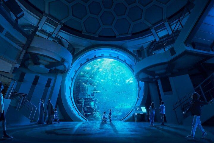 SeaWorld Admission in Abu Dhabi