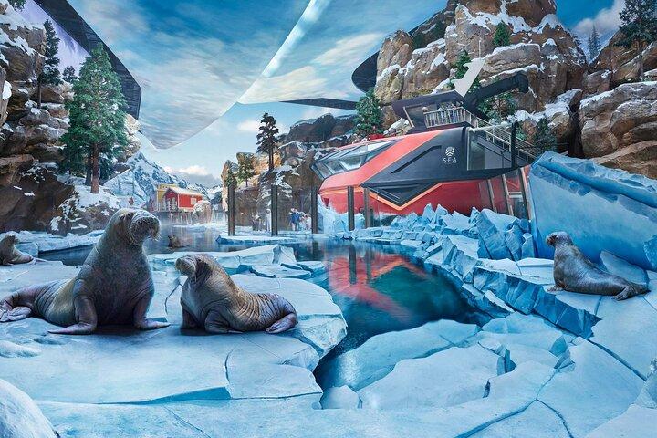 SeaWorld Admission in Abu Dhabi