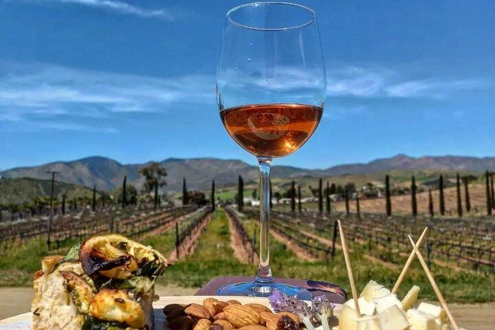 Border Pickup & Drop off: Private Valle de Guadalupe Tour