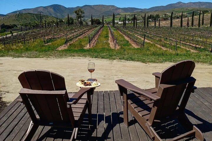 Border Pickup & Drop off: Private Valle de Guadalupe Tour