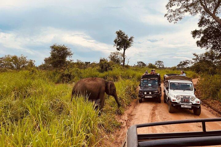 8 Day Guided Sri Lanka Cultural Heritage Tour