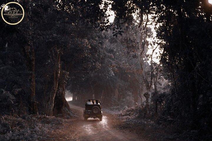 Tiger Safari in Ranthambore national park | Canter Options