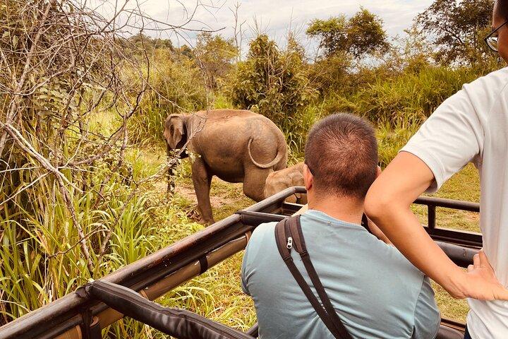 8 Day Guided Sri Lanka Cultural Heritage Tour