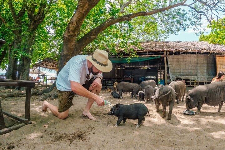 Pig Island (Koh Mudsum) and Koh Tan Tour with Meal from Koh Samui