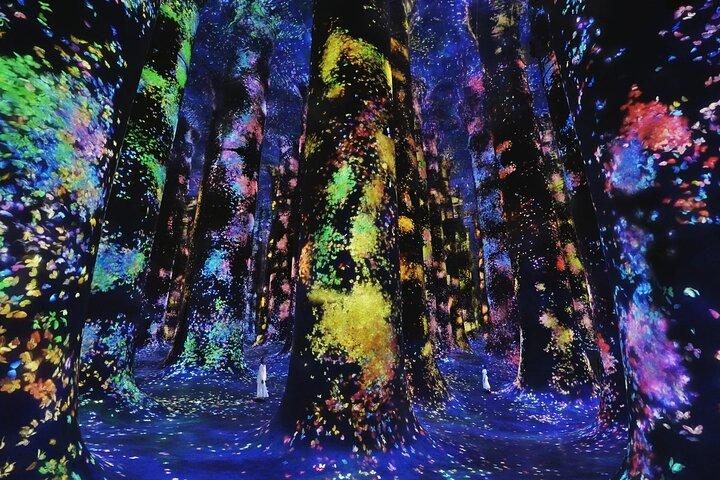 Teamlab Phenomena Abu Dhabi