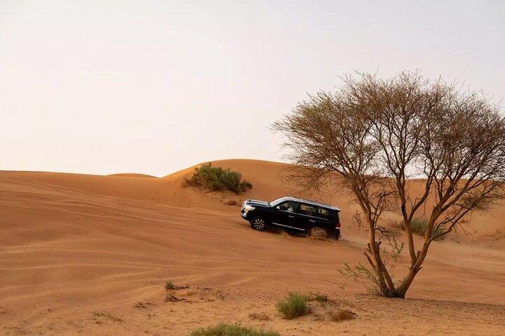 Ras Al Khaimah Desert Safari and BBQ Dinner