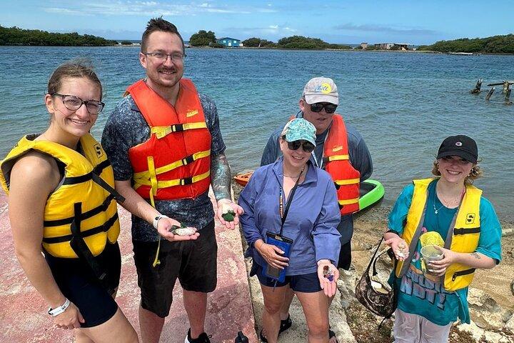 Sea Glass Island Tour By Boat