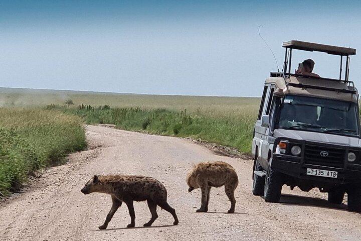 Arusha: 3 Days at Serengeti and Ngorongoro Crater Adventure