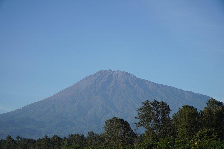 3 Days Ngorongoro, Manyara, Tarangire Group + Airport pick up