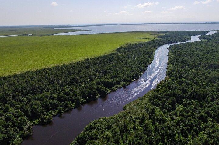 Discover the Georgian Amazon – Tour from Batumi