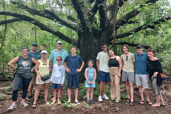 Mangrove Boat Tour in Tamarindo