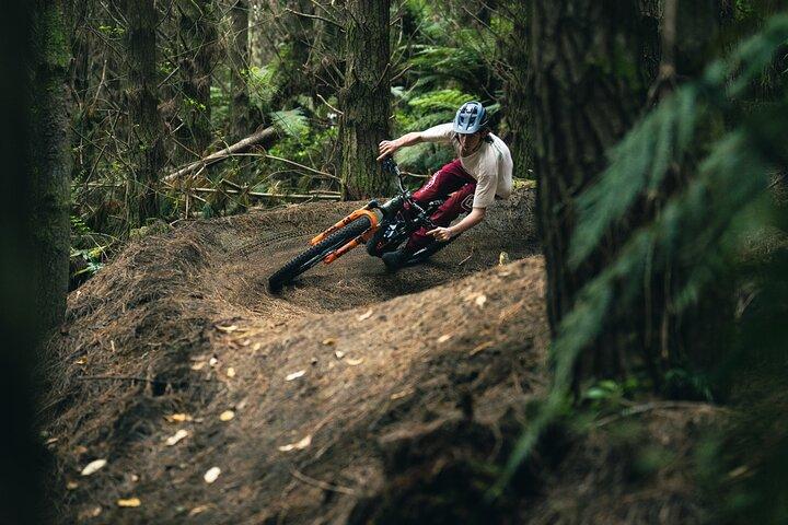 Half-Day Self-Guided Mountain Bike Journey through Whakarewarewa Redwood Forest