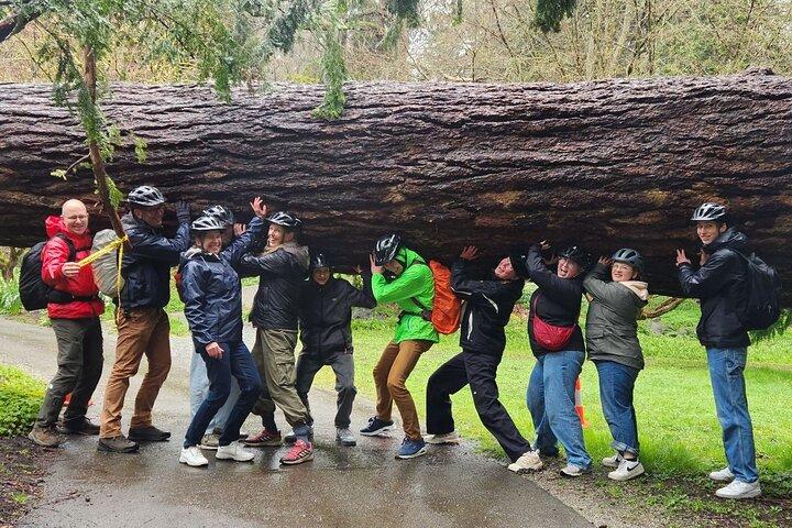 Vancouver Stanley Park 3 Hour Bike Tour