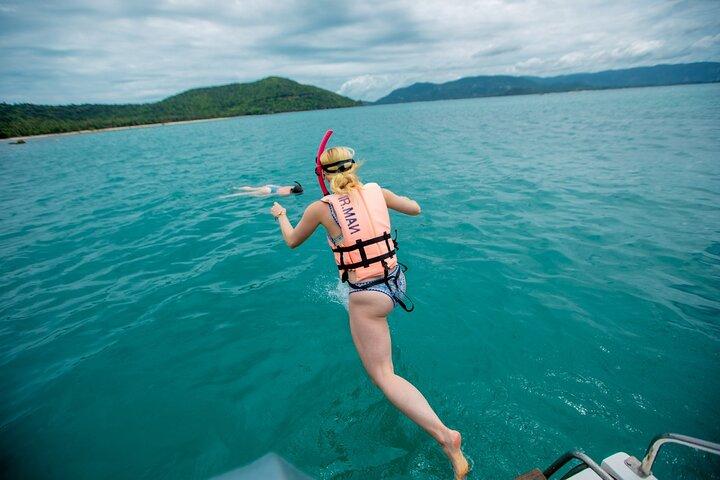 Pink Dolphin and Pig Island Snorkeling Tour from Koh Samui