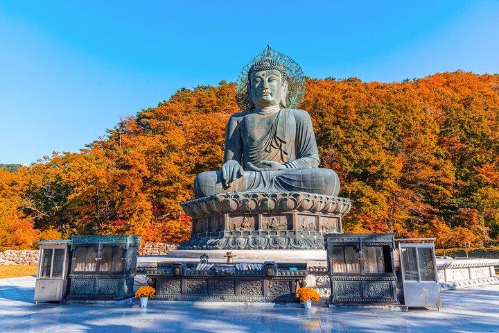Mt. Seoraksan National Park Autumn Foliage Day Tour from Seoul