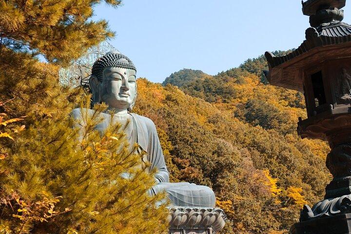Mt. Seoraksan National Park Autumn Foliage Day Tour from Seoul