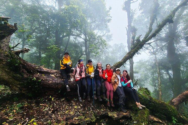 Ta Lien Son Summit Trek: 2D2N Adventure Tour