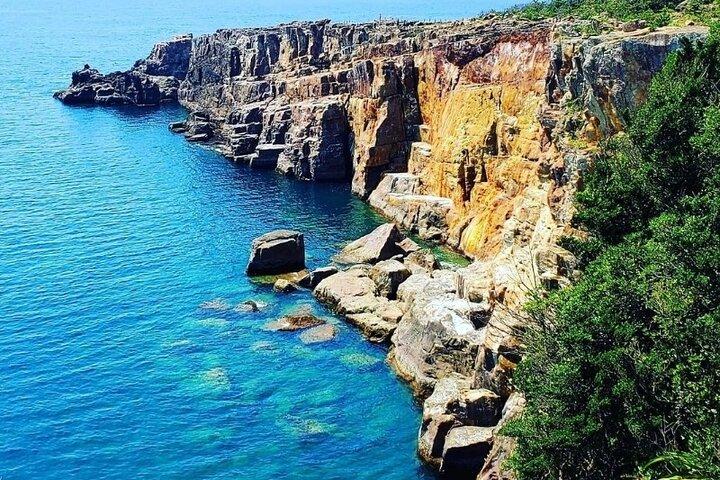 Osaka to Wakayama, Japan One-Day Chartered Tour