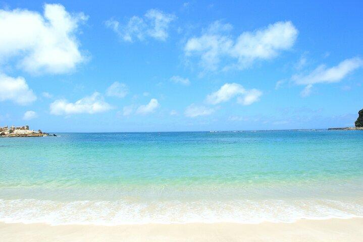 Osaka to Wakayama, Japan One-Day Chartered Tour