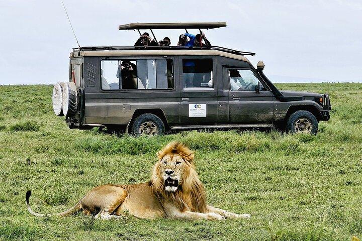 From Arusha: 2-Day Safari Through Tarangire and Lake Manyara