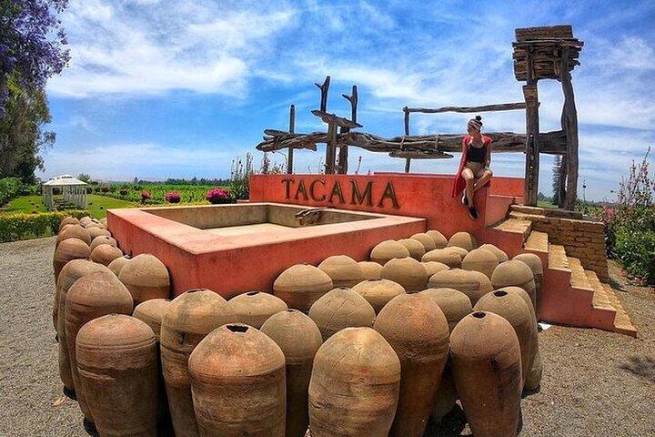 2 Day Tour from Lima: Paracas, Huacachina, and Pisco Vineyard
