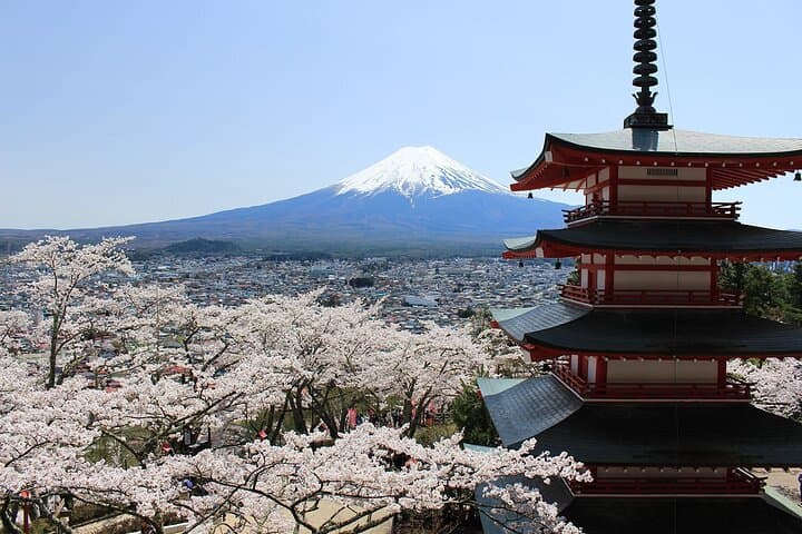 Mt. Fuji Spanish & English tour