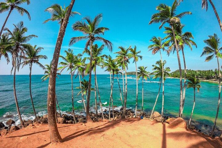 Sri Lanka Private Tour -7 Days With Driver and Vehicle