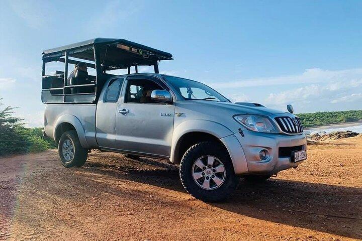 Yala all inclusive leapord Safari from Colombo All inclusive