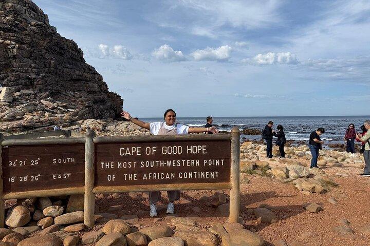 Half Day Penguins, Cape Point & Muizenberg Beach Group Tour