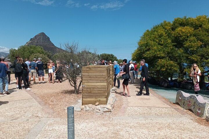 Cape Town: Half-Day Table Mountain Cable Car Tickets