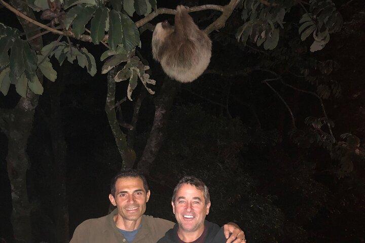 Monteverde Night Walk Tour: the night life of the forest