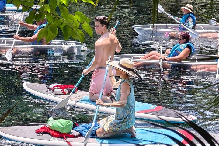 Silver Springs Manatee Kayak, Glass Boat Small Group Max 14 Tour