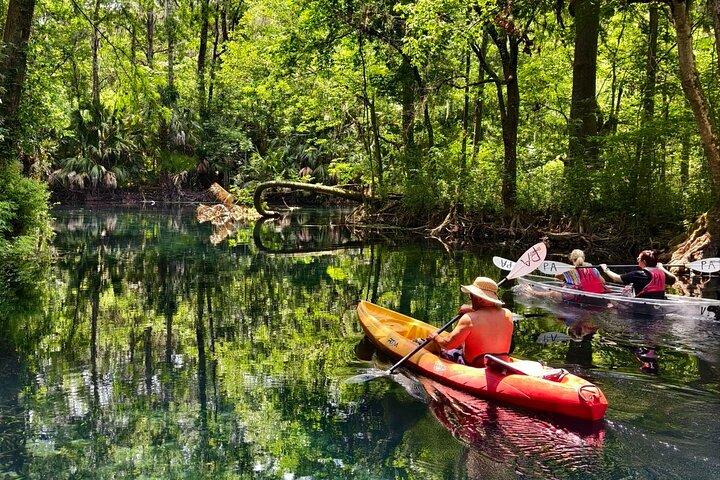 Silver Springs Manatee Kayak, Glass Boat Small Group Max 14 Tour
