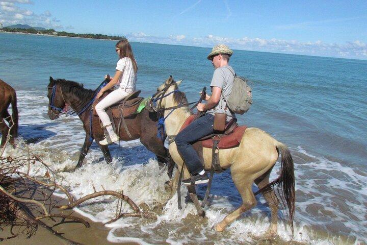 Puerto Plata: Horse riding: Adventure on the beach, river and jungle