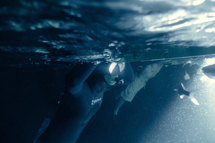 Manta Ray Night Snorkel Adventure in Kona