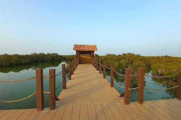 North Qatar Tour Zubara Fort, Purple Island and Mangroves Colony