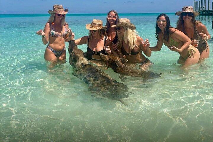 Swim with Pigs & Beach Snorkeling with Turtle Viewing Rose Island