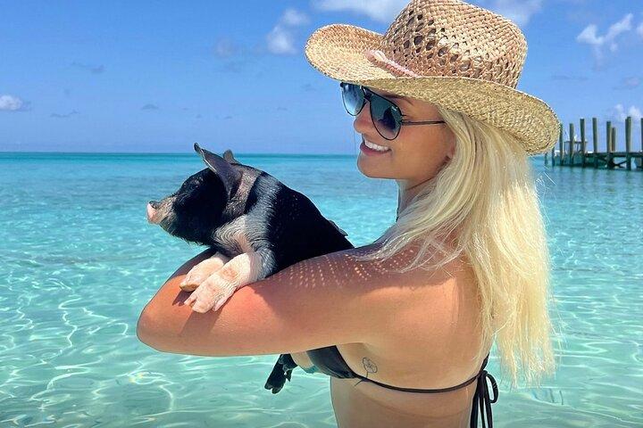 Swim with Pigs & Beach Snorkeling with Turtle Viewing Rose Island