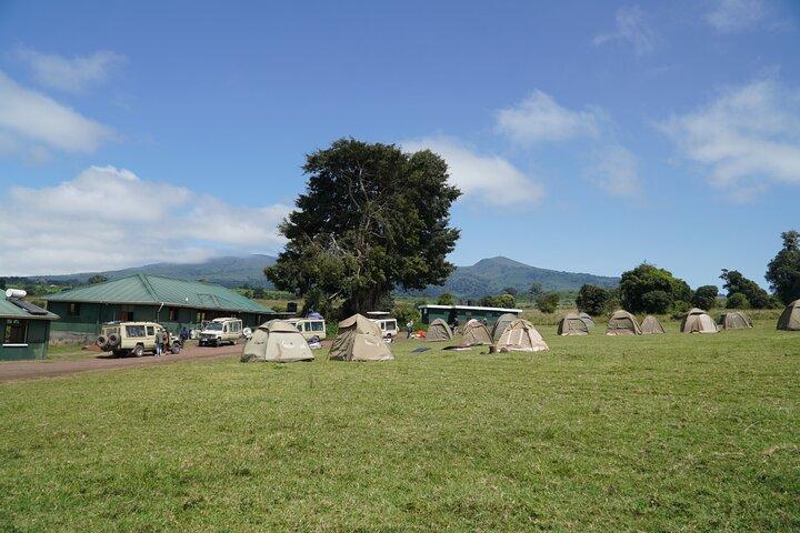 6 Days Serengeti Ngorongoro Tarangire Manyara + Airport Pickup