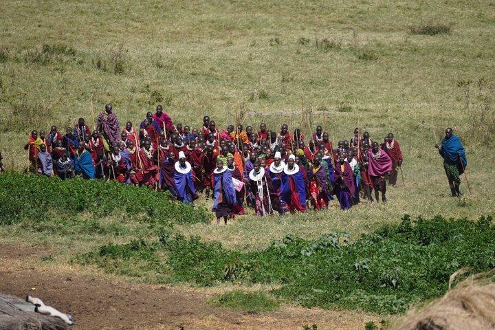 6 Days Serengeti Ngorongoro Tarangire Manyara + Airport Pickup