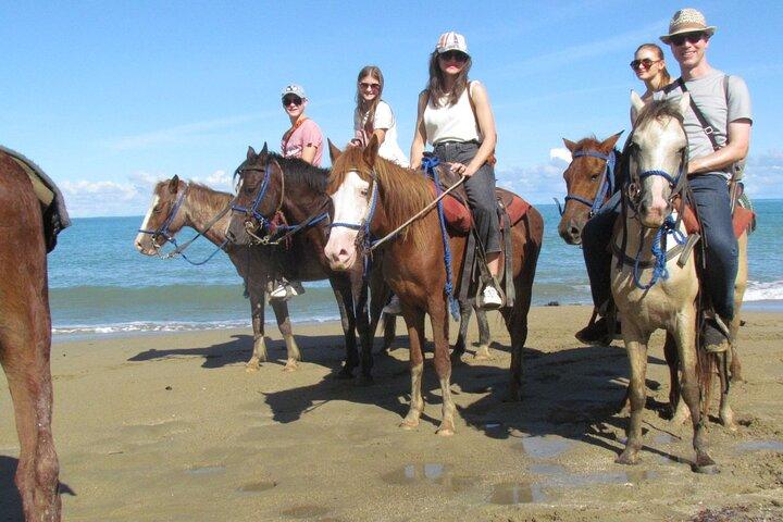 Puerto Plata: Horse riding: Adventure on the beach, river and jungle