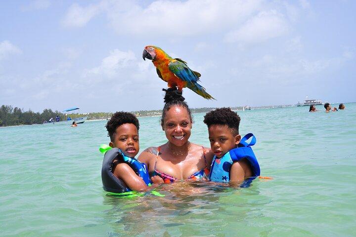Glass-bottom boat tour to Punta Cana