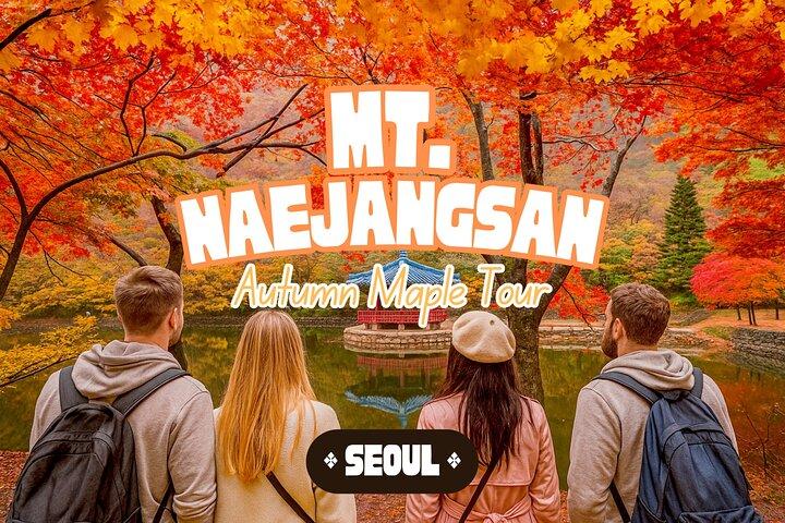 Naejangsan National Park Autumn Foliage One Day Tour from Seoul